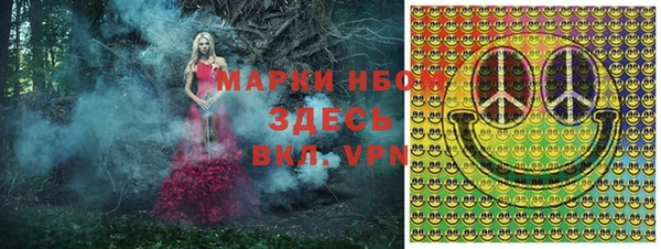 амф Пестово