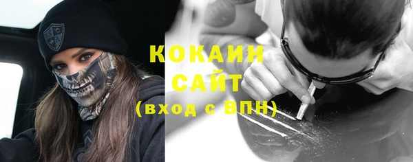 амф Пестово