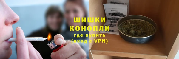 амф Пестово