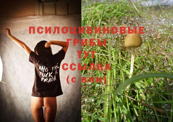 герыч Переславль-Залесский