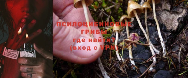 МДПВ Зерноград