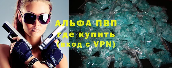 амф Пестово