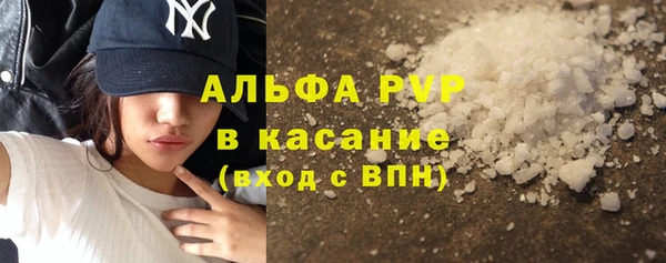 ешки Пересвет