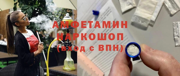 амф Пестово