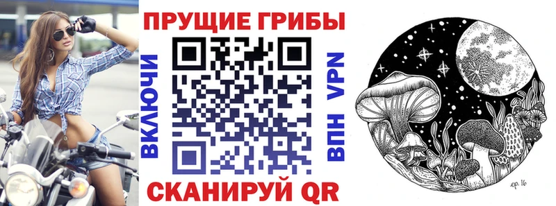 blacksprut ONION  Зубцов  Галлюциногенные грибы MAGIC MUSHROOMS 