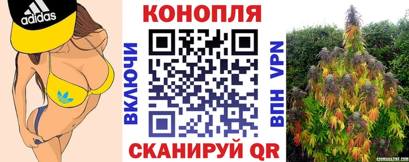 Бошки Шишки планчик  ссылка на мегу как зайти  Зубцов 